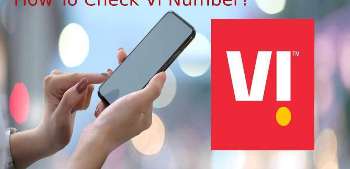 How To Check Vi Number_