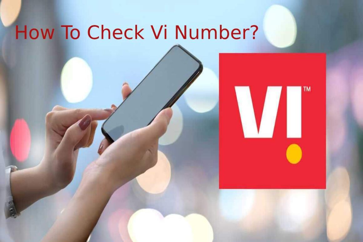 How To Check Vi Number_