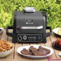 Ninja Woodfire Grill _ Electric BBQ Grills & Smokers